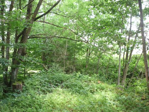 Zwischen Krumbach und Limbach