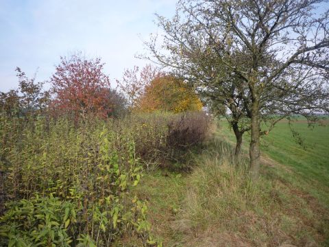 Zufahrt zum Flugplatz