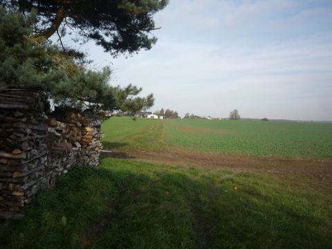 Zufahrt zum Flugplatz