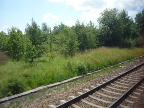 Abzweig von der Odenwaldbahn