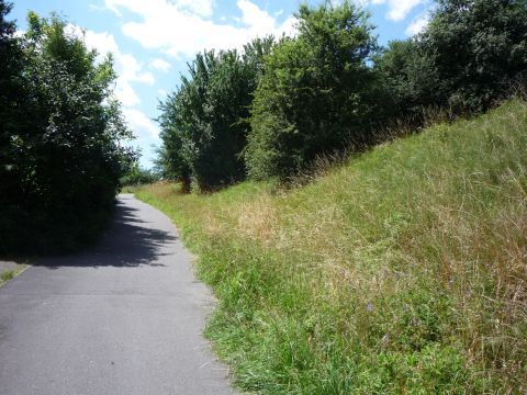 Bahndamm bei Oberschefflenz