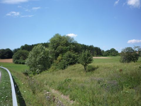 Zwischen Mittel- und Unterschefflenz