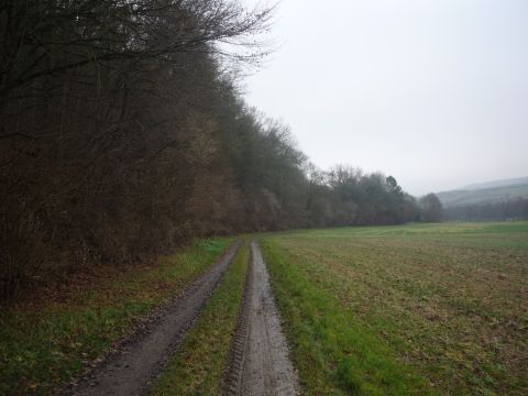 Zwischen Dittwar und Knigheim
