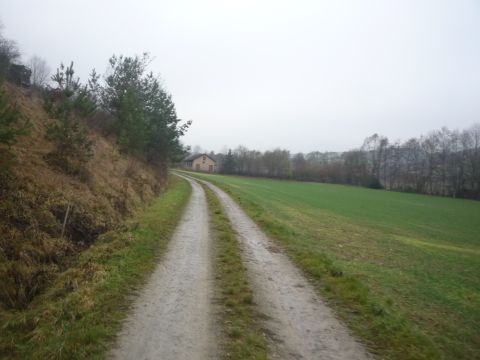 Zwischen Dittwar und Knigheim