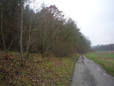 Zwischen Dittwar und Knigheim