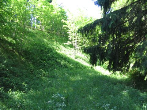 Ehemalige Brcke ber die Forststrae von Ungerhausen nach Westerheim