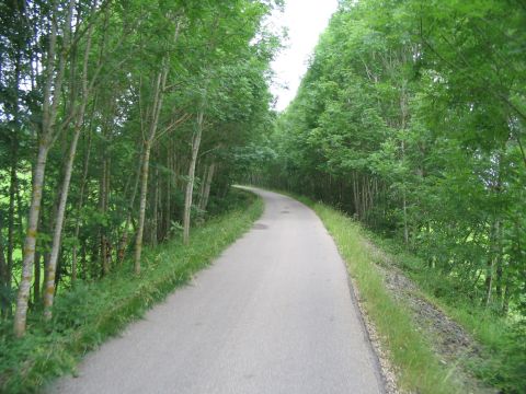 Damm ber den Goholzer Tobel