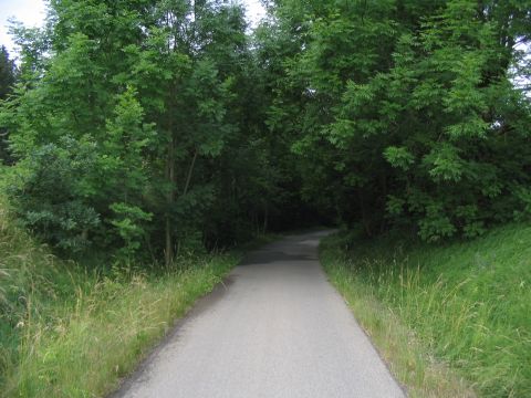 Einschnitt Goholzer Tobel