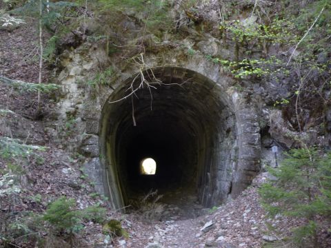 Nordportal des Rickenbachtunnels