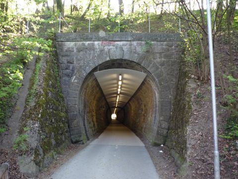 Westportal des Riedenburgtunnels