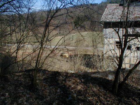 Kalkwerk Oberrode, Blick von der Feldbahn