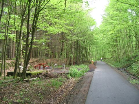 Trasse im Wald zwischen Liberg und Hirzenhain