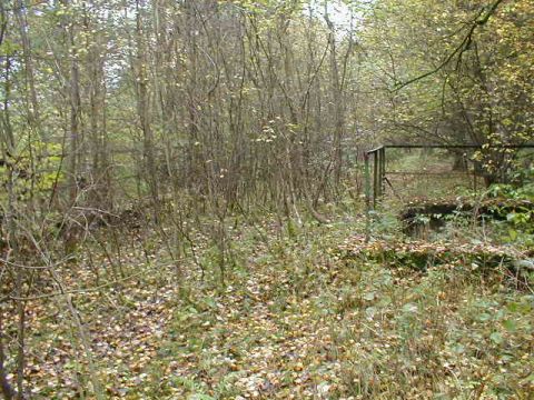 Brcke zwischen Eulersdorf und Schwarz