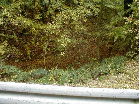Ehemalige Brcke der Strae von der Hardmhle nach Rainrod