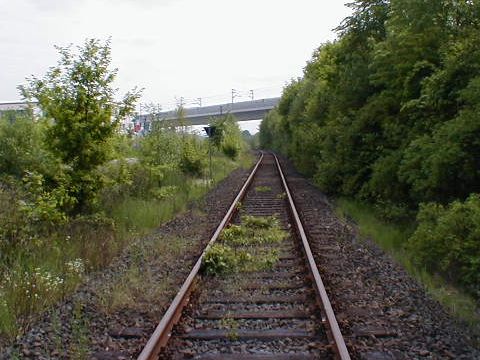 Viadukt der Neubaustrecke Kassel - Fulda über das Fuldatal