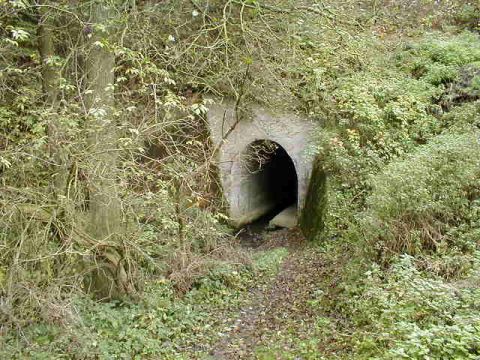 Durchlass der Schwarza
