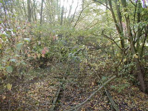 Prellbock hinter der 3. Weiche