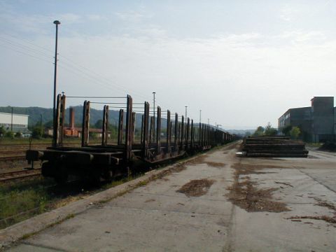 Güterzug in Bad Salzungen