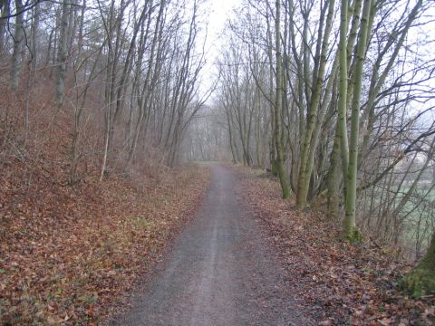 Alte Trasse