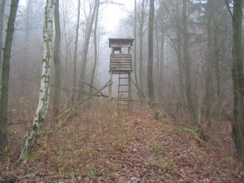 Trasse zwischen Schnau und Georgenthal