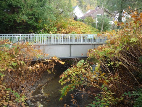 Brücke über den Waldangelbach