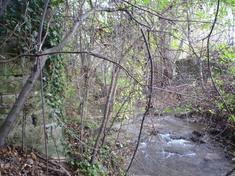 Brcke ber den Waldangelbach