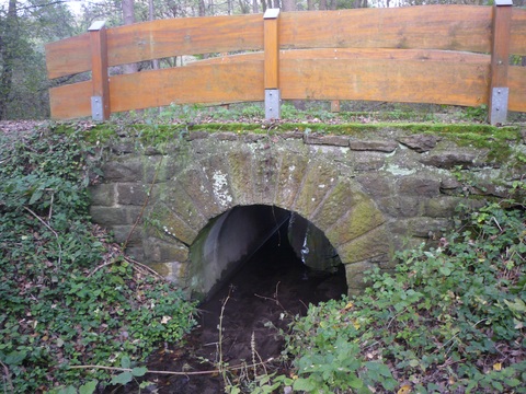 Brcke ber den Waldangelbach