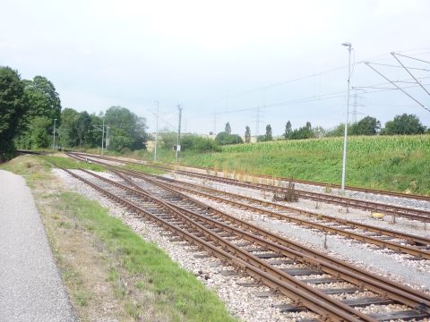 Ausfahrt Neckarbischofsheim Nord