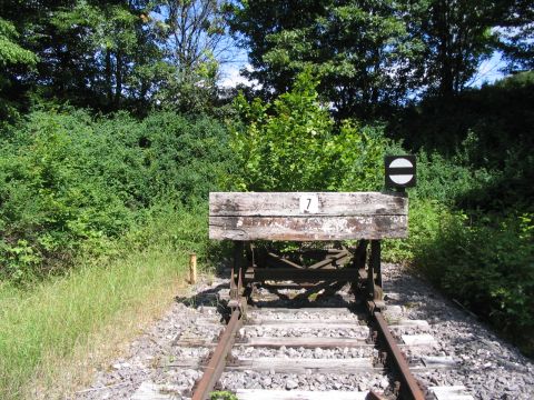 Einfahrt in den Bahnhof Oberheutal