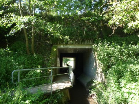 Brcke ber den Brnnlesbrunnen