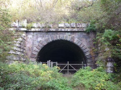 Westportal des Forsttunnels