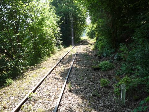 Zwischen Olnhausen und Jagsthausen