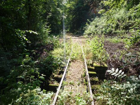 Zwischen Olnhausen und Jagsthausen