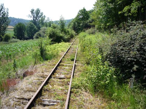 Zwischen Widdern und Olnhausen