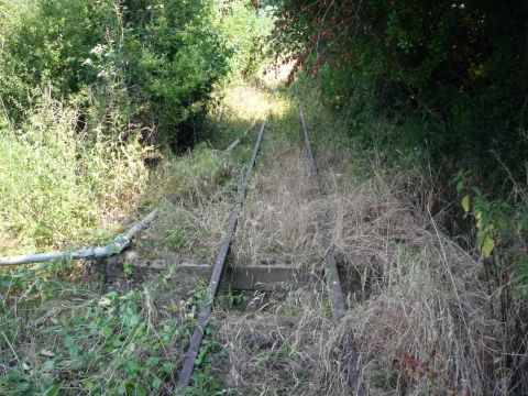 Zwischen Widdern und Olnhausen