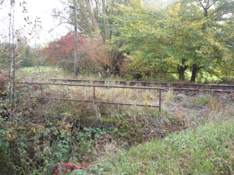 Brcke ber den Wurmbach