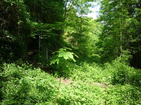 Fugngerbergang zwischen Degmarn und Kochertrn
