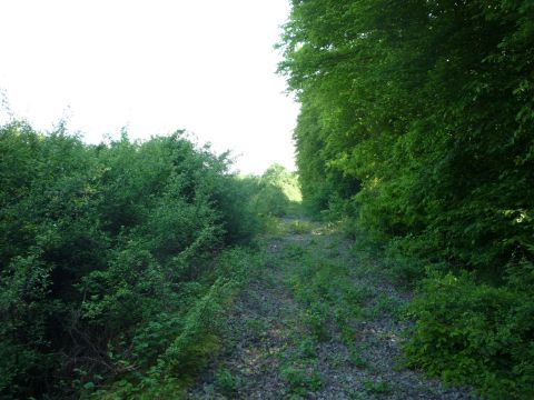 Zwischen Oedheim und Degmarn