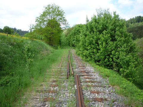 Zwischen Sulzbach und Laufen