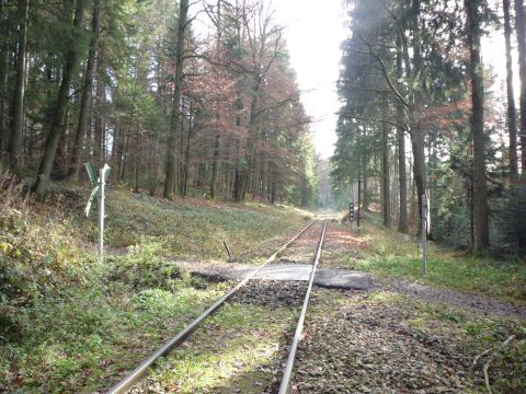 Bahnbergang zwischen Laufenmhle-Viadukt und Breitenfrst