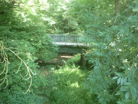 Brcke ber den Thierbach