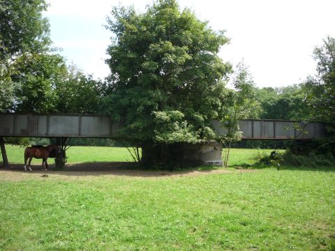 Flutbrücke vor der Tauber