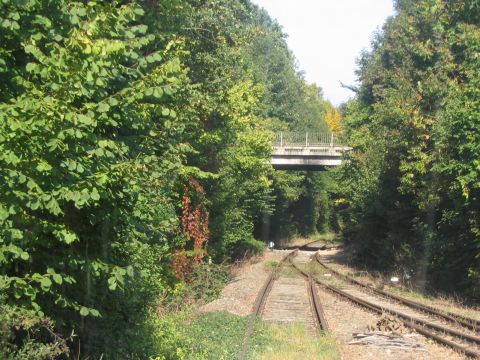 Straenberfhrung in Dinkelsbhl