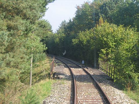 Brcke bei Kaltenbronn