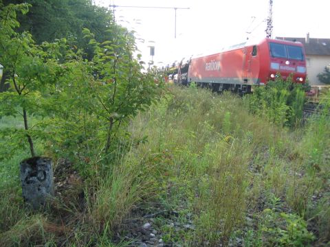 Einmündung in die Strecke Stuttgart - Ulm