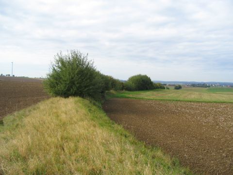 Zwischen Oppingen und Nellingen
