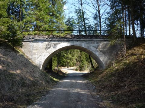 Brücke im Sachsenrieder Forst