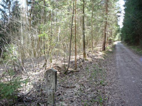 Zwischen Osterzell und Sachsenrieder Forst