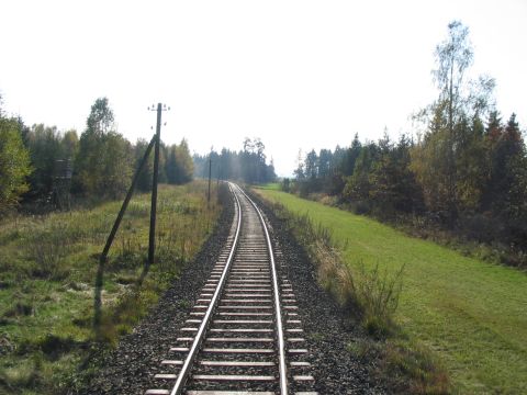 Zwischen Ellighofen und Unterdieen