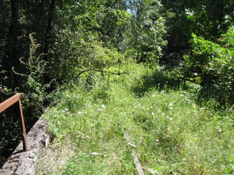 Brcke ber einen Waldweg